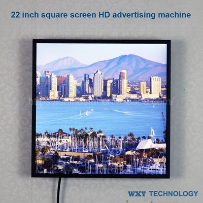 22" 33.2" inch 1:1 square display screen LED with WIFI network Android OS HDM1 input for advertising art gallery and NFT frame