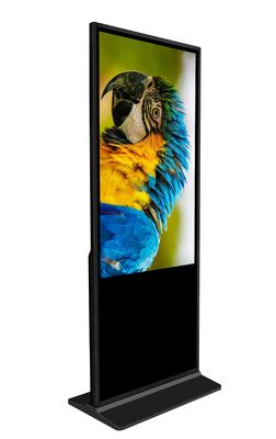 55 Inch Infrared Touchscreen Large Size Floor Stand Digital Signage  Advertising Screen