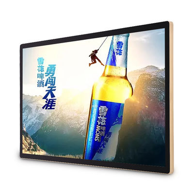 24 Inch Video Panels Wall Mounted Advertising Display With VGA HDMI USB Port Input