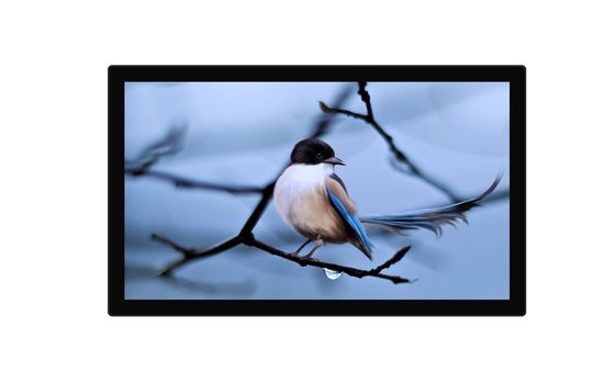 49 Inch LCD LED Wall Mounted Digital Advertising Screen 3840*2160 Resolution