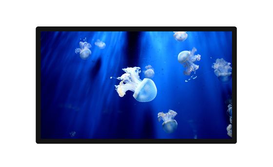 55 Inch LCD LED TFT Wall Mounted Advertising Screen 1080P Resolution