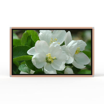 55 Inch Infrared Touch Screen Wall Mounted Advertising Screen 1080P Resolution