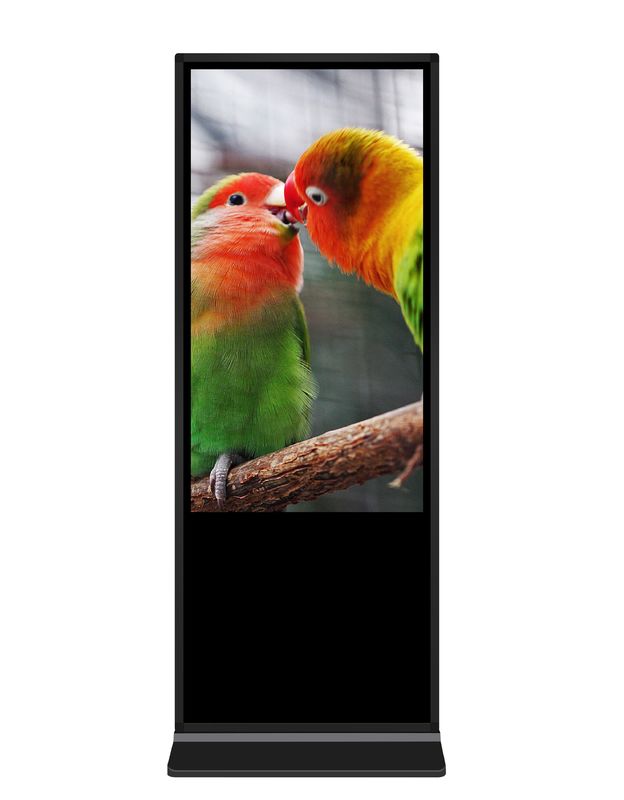 55 Inch Infrared Touchscreen Large Size Floor Stand Digital Signage  Advertising Screen