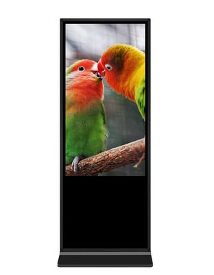 55 Inch Infrared Touchscreen Large Size Floor Stand Digital Signage  Advertising Screen